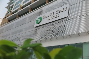 olive tree hotel