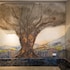 olive tree hotel