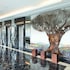 olive tree hotel