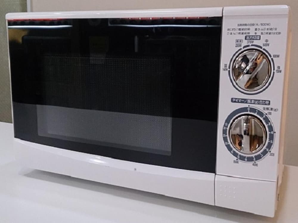 hotel live max budget tokyo hamura station