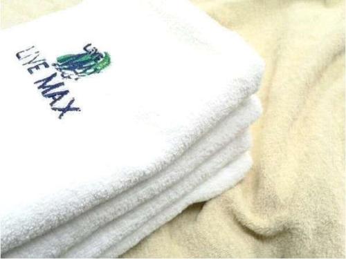 hotel live max budget tokyo hamura station