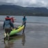 ballena