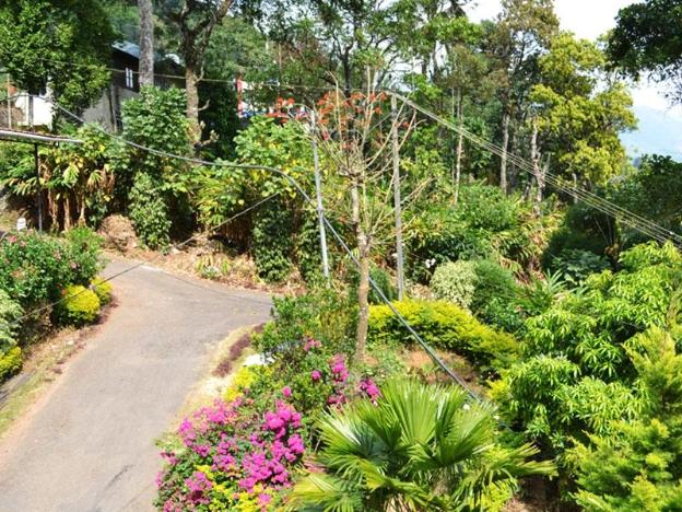 munnar