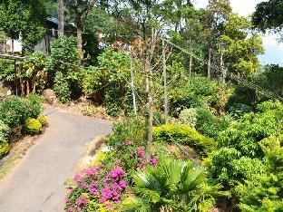 munnar
