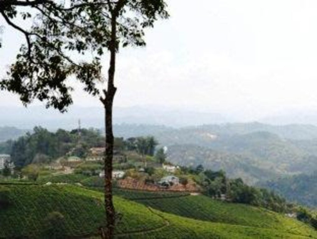 munnar