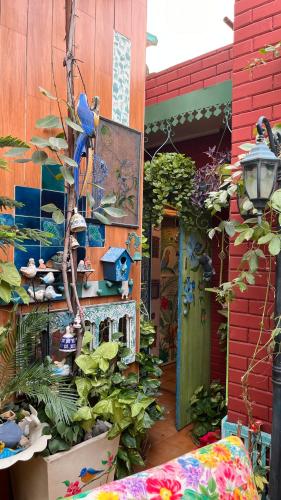 on the house bed and breakfast