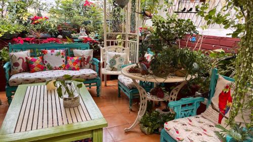 on the house bed and breakfast