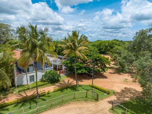 olive farm embassy international riding school