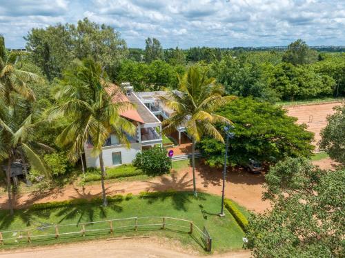 olive farm embassy international riding school