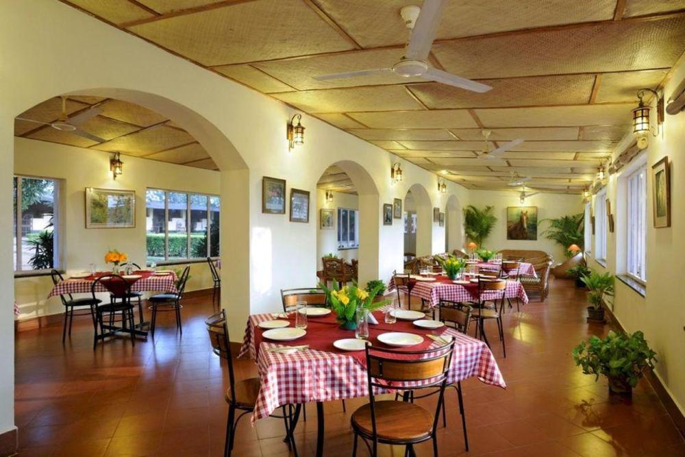 olive farm embassy international riding school