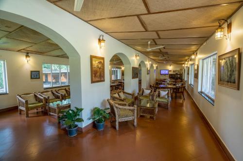 olive farm embassy international riding school