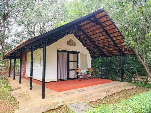 olive farm embassy international riding school