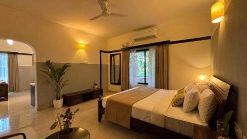 olive farm embassy international riding school