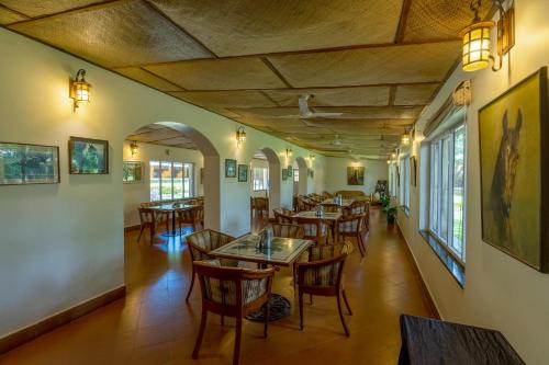 olive farm embassy international riding school