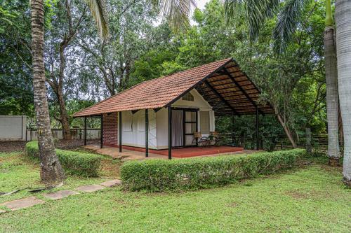 olive farm embassy international riding school