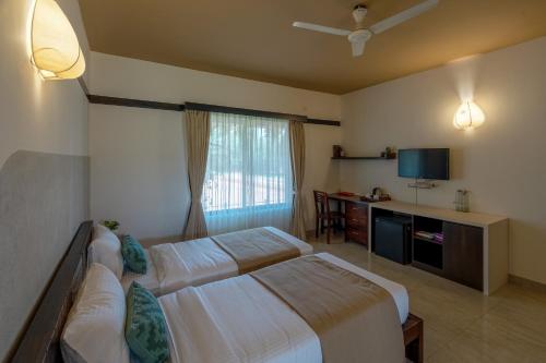 olive farm embassy international riding school