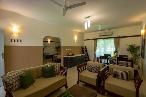 olive farm embassy international riding school