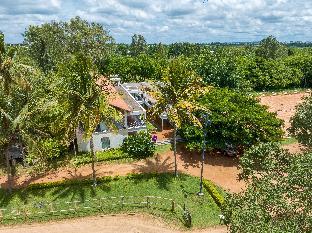 olive farm embassy international riding school