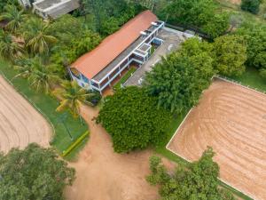 olive farm embassy international riding school