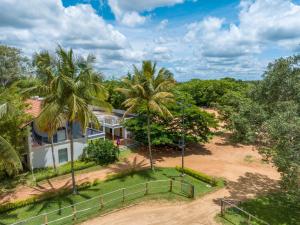 olive farm embassy international riding school