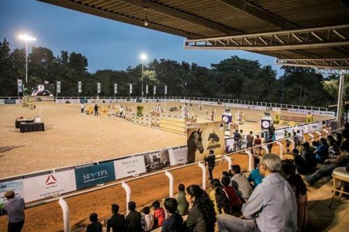 olive farm embassy international riding school