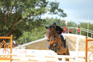 olive farm embassy international riding school