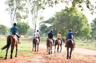 olive farm embassy international riding school