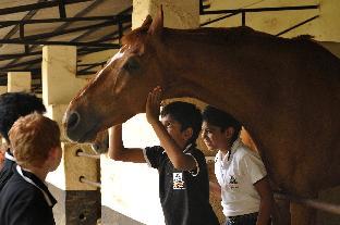 olive farm embassy international riding school
