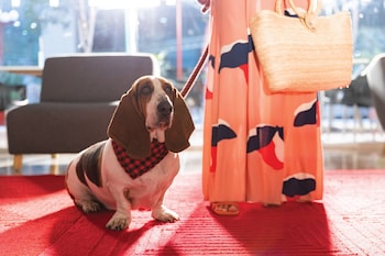 fiesta inn queretaro