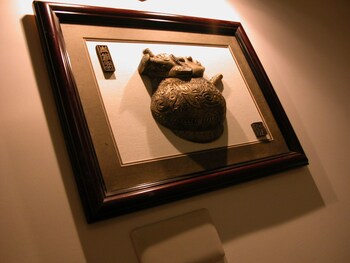 broad minded station