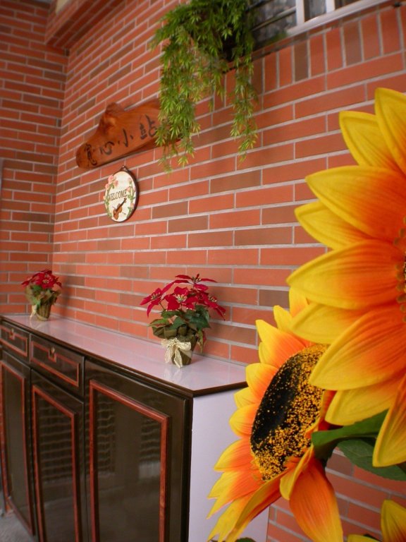 broad minded station