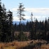 bear paw adventure