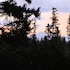 bear paw adventure