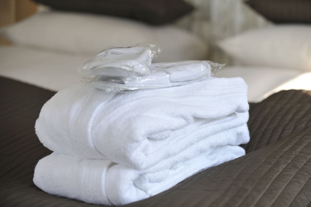 stevns klint strandpension