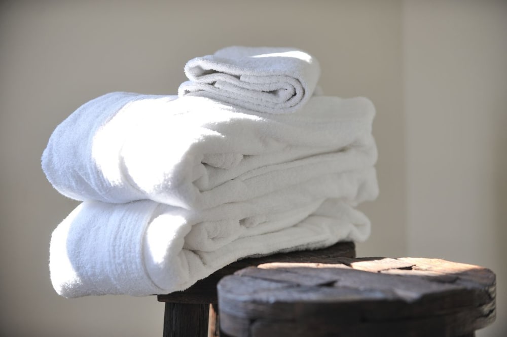 stevns klint strandpension