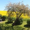 stevns klint strandpension