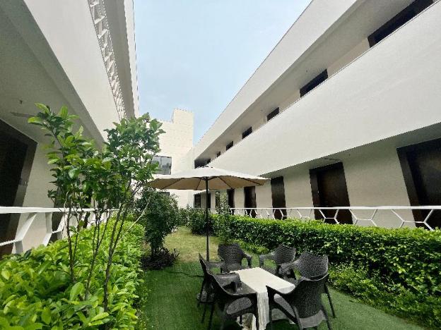 new delhi