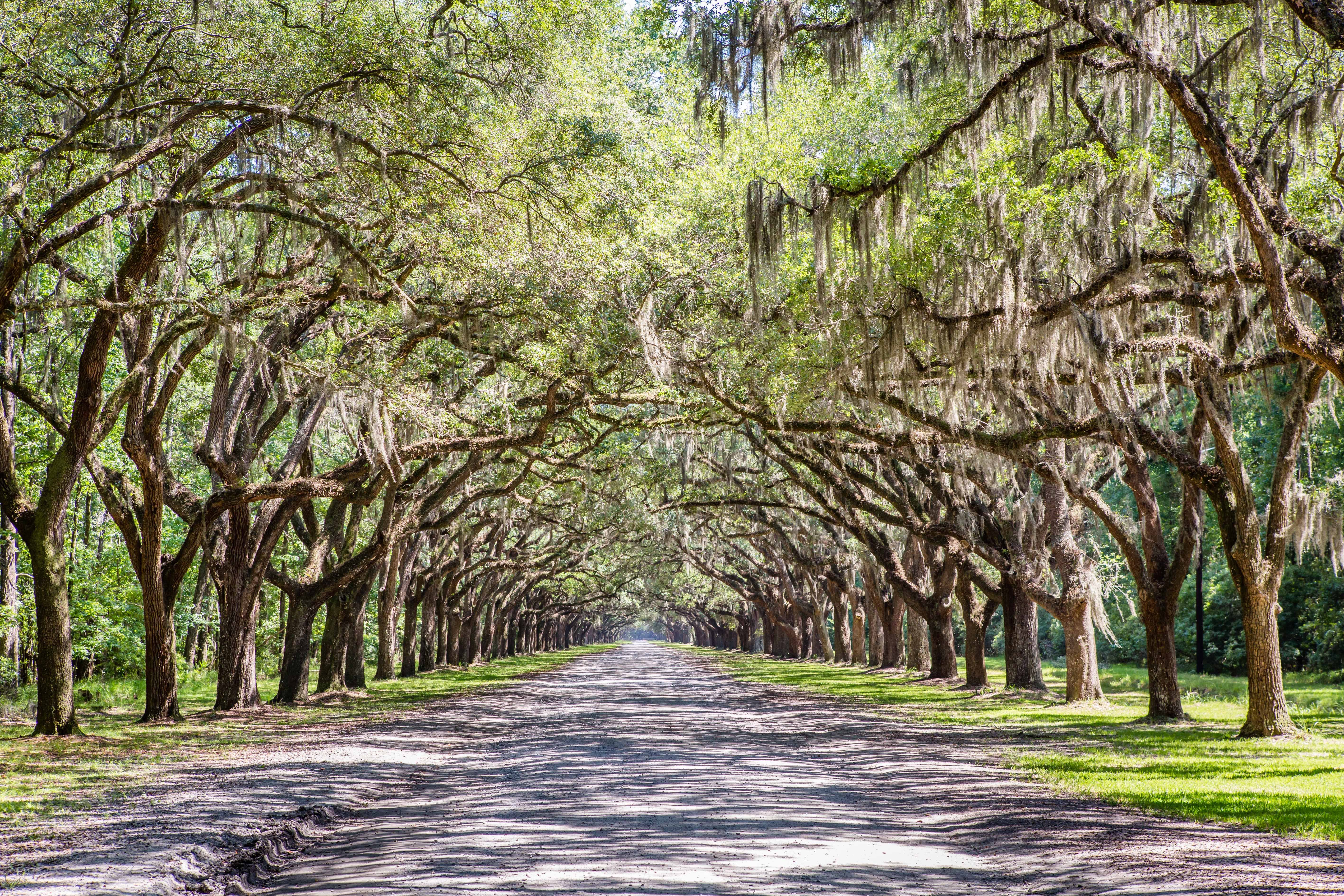 holiday inn savannah historic district by ihg