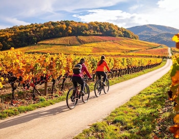 la closerie de fronsac
