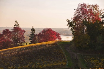 saint michel de fronsac