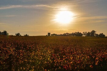 saint michel de fronsac