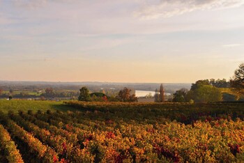 saint michel de fronsac