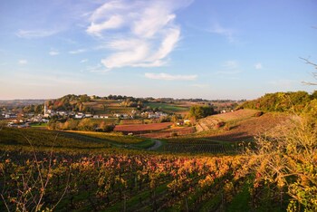 saint michel de fronsac