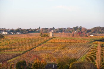 saint michel de fronsac