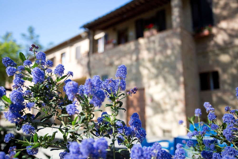agriturismo san galgano