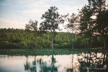 agriturismo san galgano