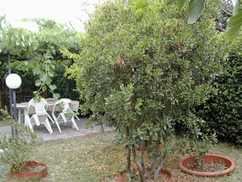 castiglione del lago