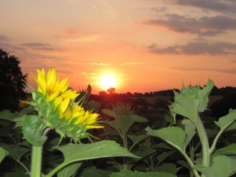 castiglione del lago