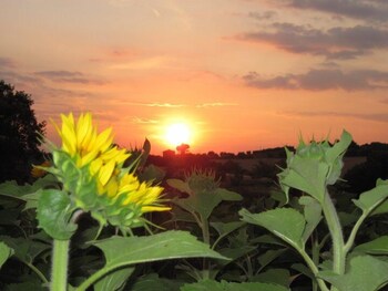 castiglione del lago