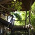 mgoza lodge